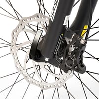 Cola Bear 250W (7) Rower elektryczny Cola Bear