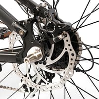 Rower elektryczny Cola Bear Rower elektryczny Cola Bear