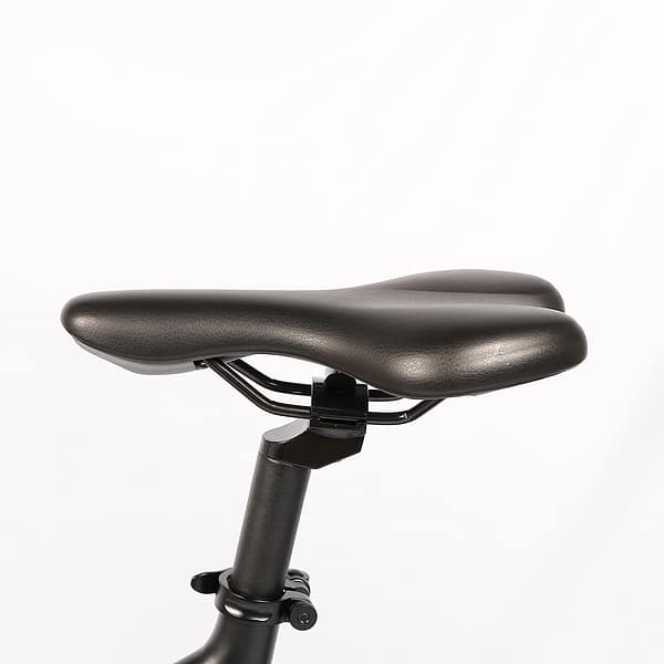 Cola Bear 250W (11) Rower elektryczny Cola Bear