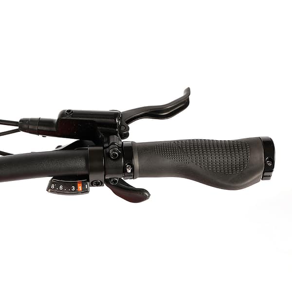 Cola Bear 250W (3) Rower elektryczny Cola Bear