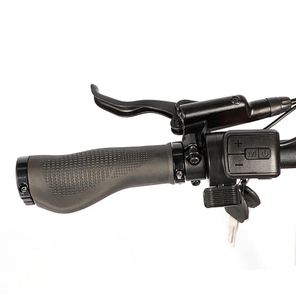 Cola Bear 250W (4) Rower elektryczny Cola Bear