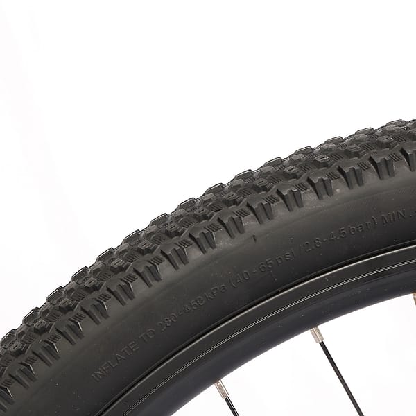 Rower elektryczny Cola Bear 250W (4) Rower elektryczny Cola Bear